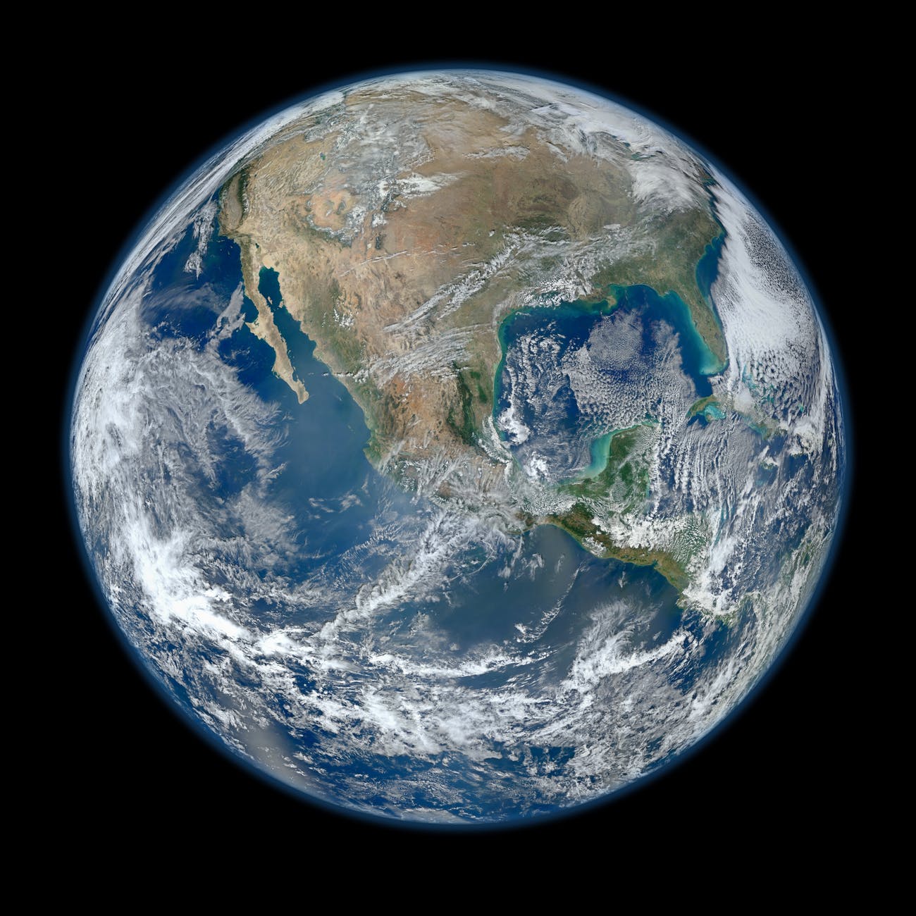 Humans are a Planetary Virus…