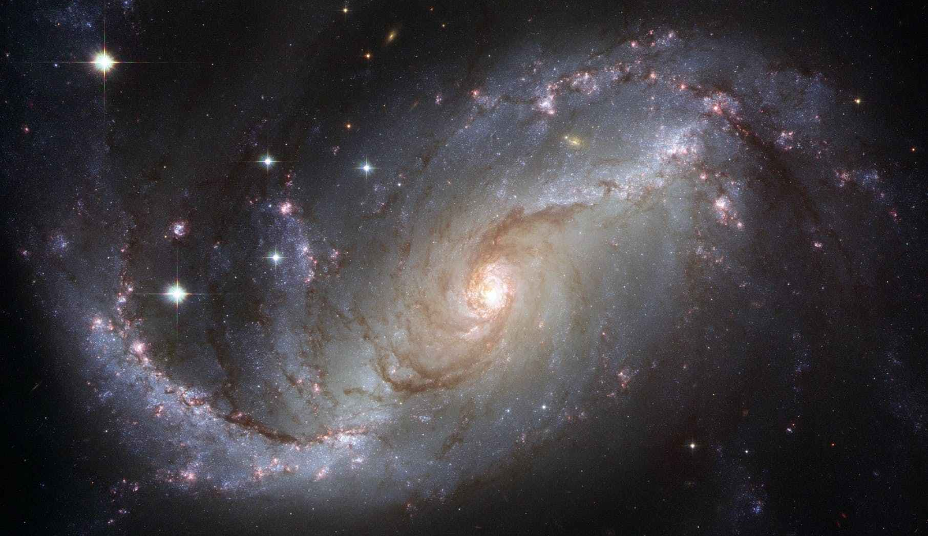 There HAS to be intelligent life in the universe…