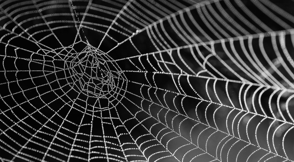 Spider bite blog post spider man reality