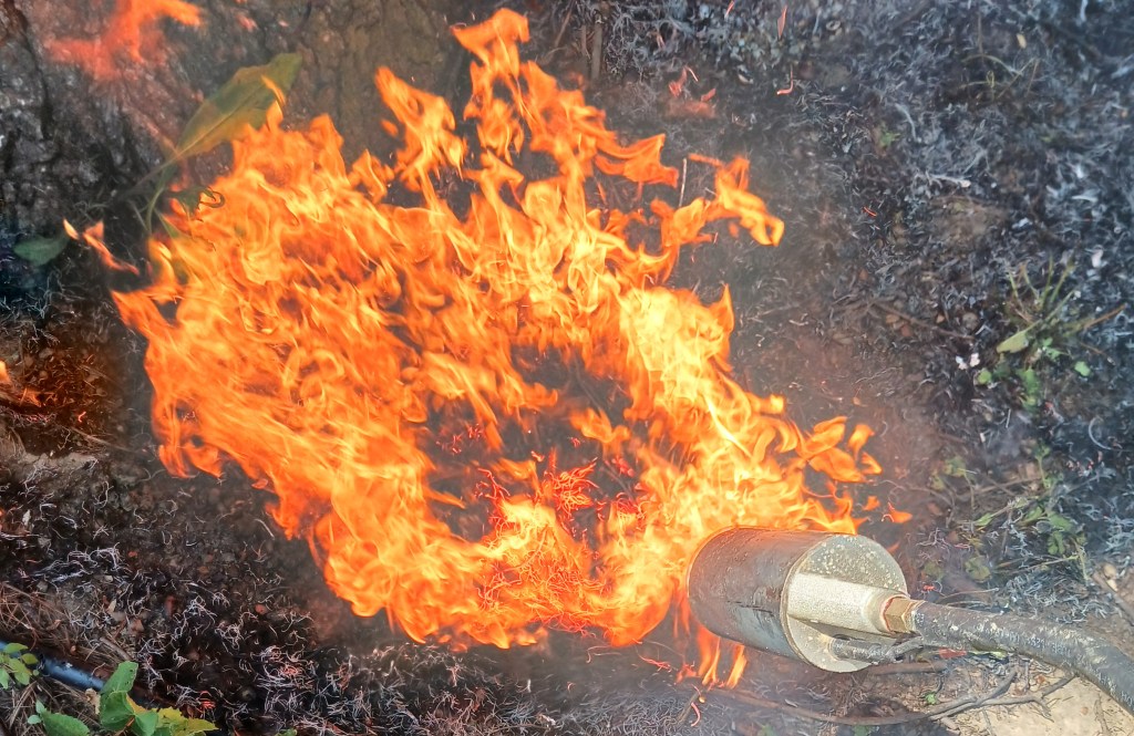 Flamethrower Blog Post