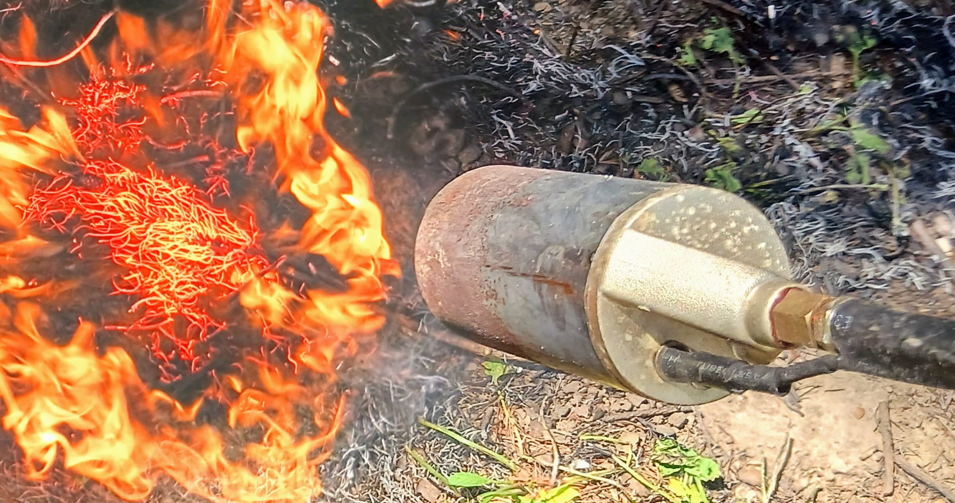 Flamethrower weed torch fire blog post