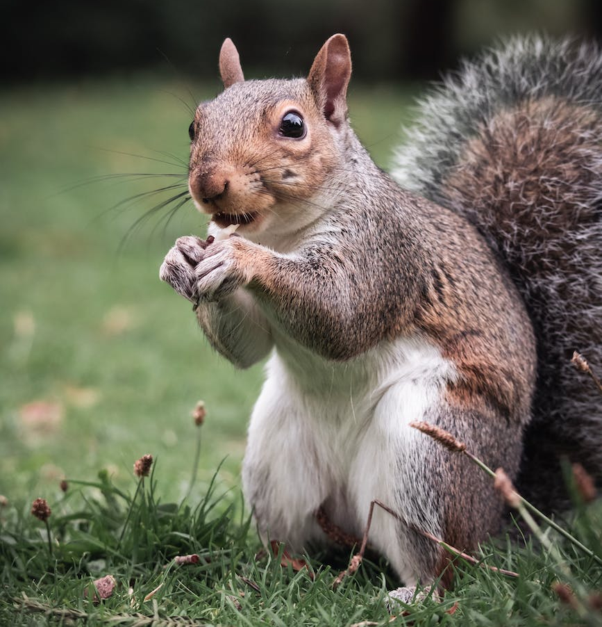 Random babble senseless rant writing blog