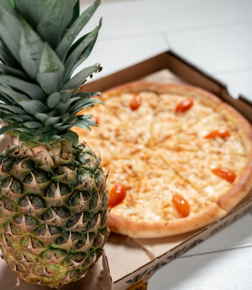 no pineapple on pizza blog post politics