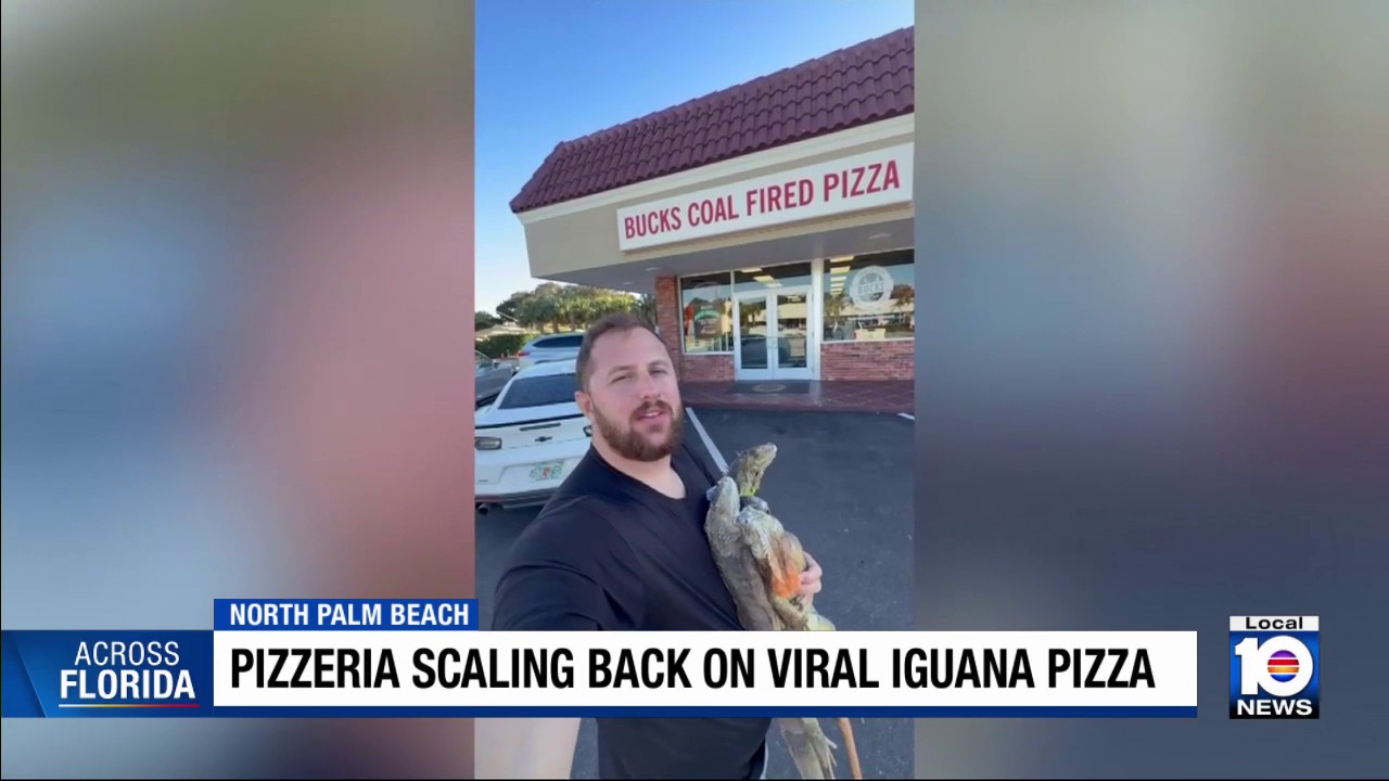 Florida iguana pizza topping story